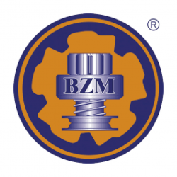 Bzm